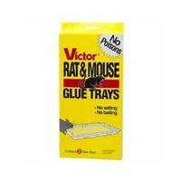 Victor Glue Boards for Mice & Rats