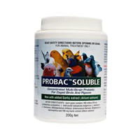 Probac Soluble 200g- Aust.Pigeon Company
